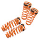 Lowering Springs for Honda Accord 08-12 - MR-LS-HA08V6